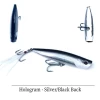 Stillwater Smack-It Popper -Angling Sales Shop HologramSilverBlack Back 04945.1656007544