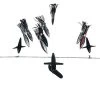 Chatter Lures 36" SideTracker Spreader Bar W/9" Floating Squid Black -Angling Sales Shop blCK36 91685.1654185030